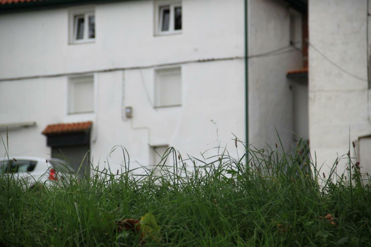 Apartamento Rural Zuri Cotorrio Exteriör bild